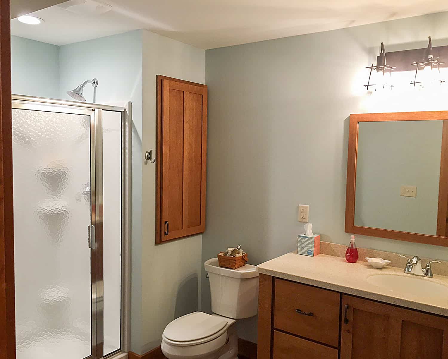 Lemel Homes Remodeling - Basement - 1/2 bath - vanity, closet shower