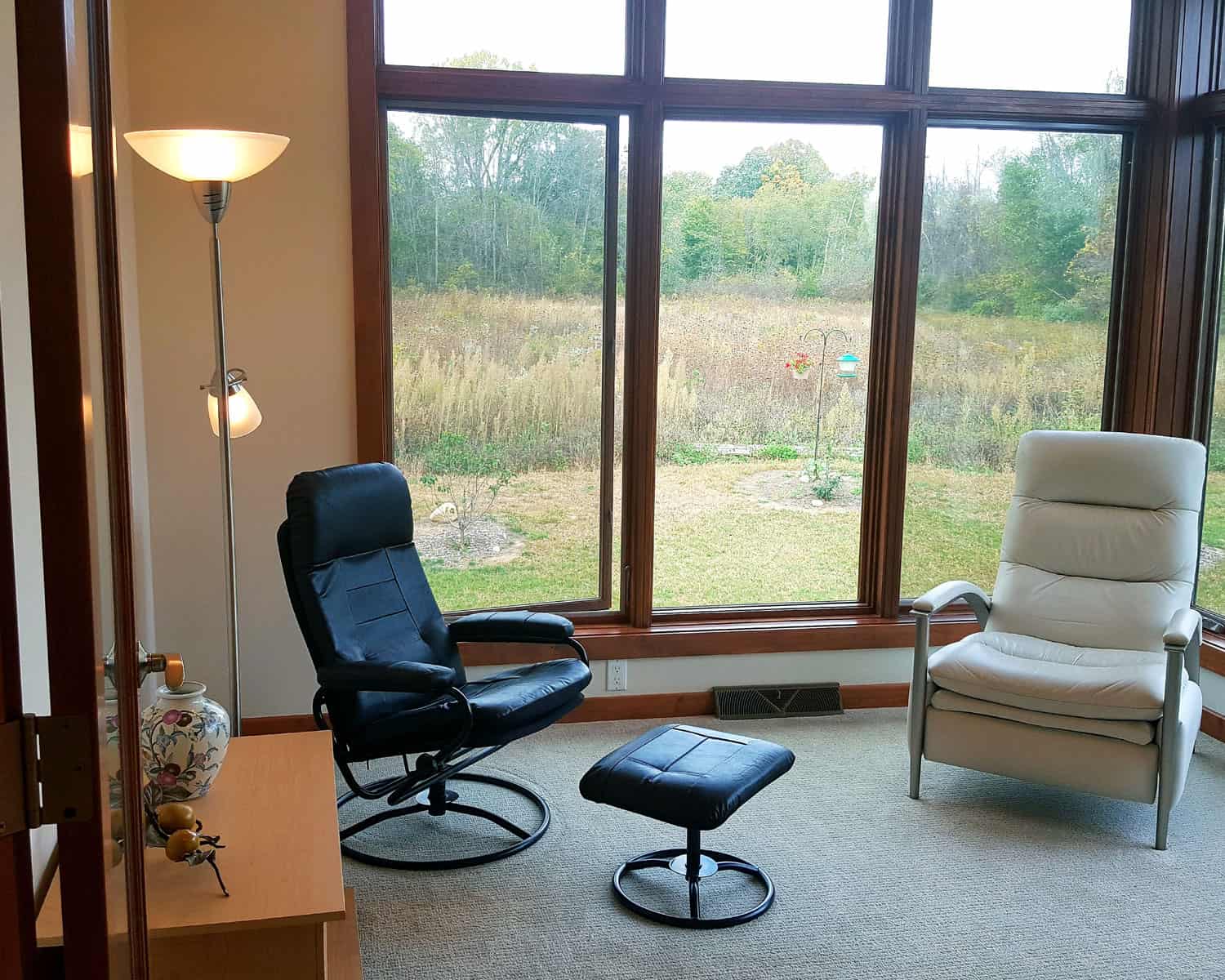 Lemel Homes - New Construction - Ranch - 5 - 2 modern chairs with windows looking out to a prarie