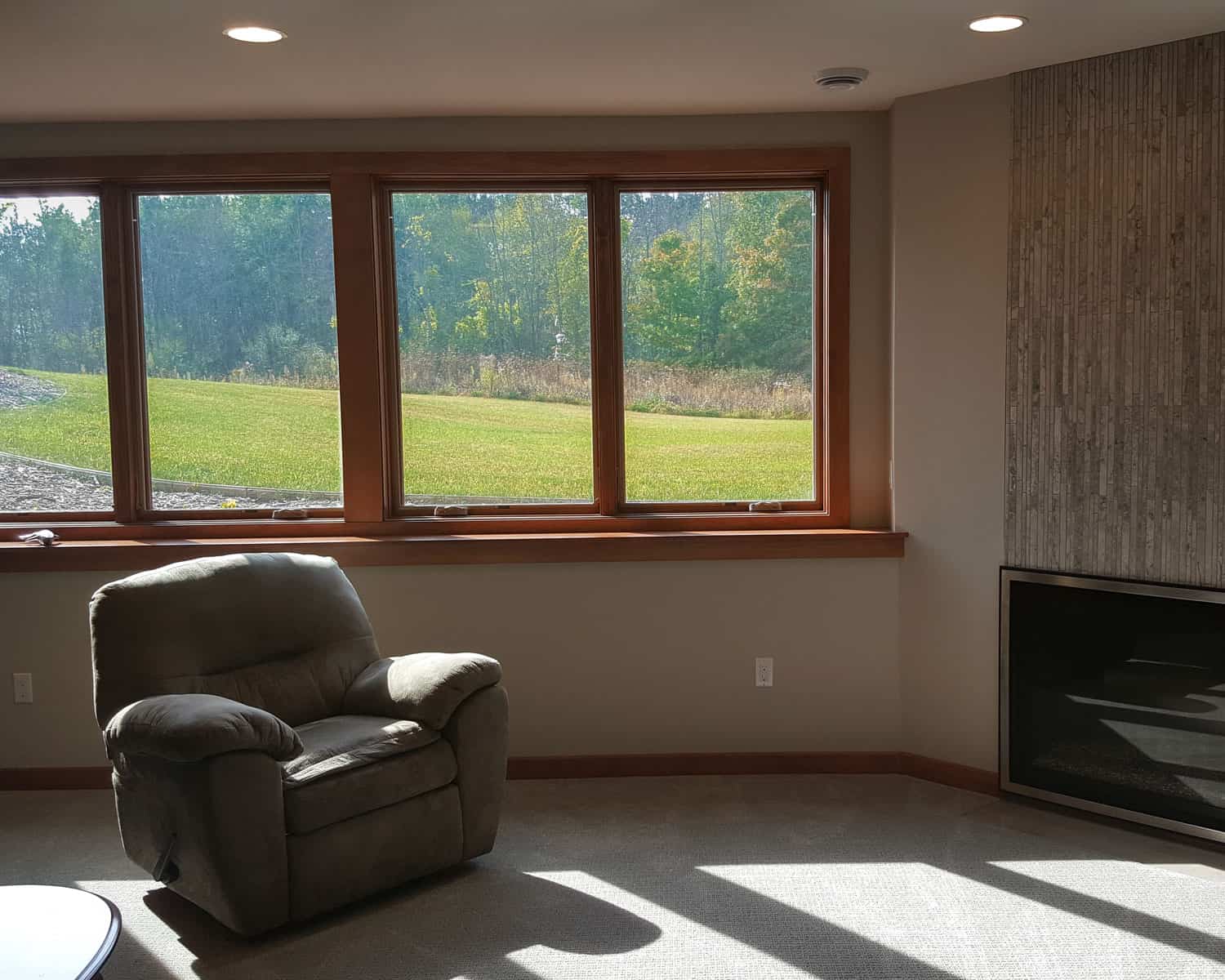 Lemel Homes - New Construction - Ranch - 7 - gas fire place with windows looking outside